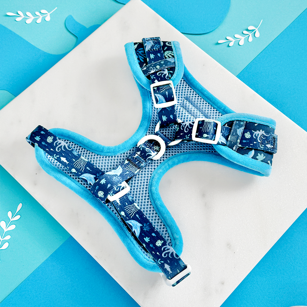 Sea Life Pawty Adjustable Neck Harness, Lead & Collar Bundle