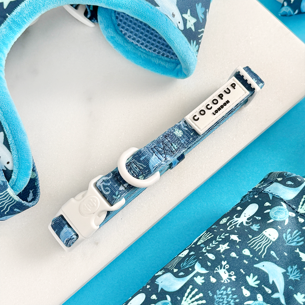 Sea Life Pawty Adjustable Neck Harness, Lead & Collar Bundle