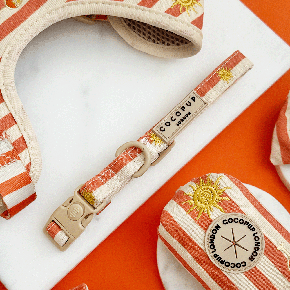 Sunshine & Spritz COLLAR