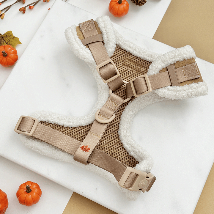Brown dog harness, with autumnal-themed embroidery of pumpkins, leaves, a coffee cup, and mushrooms.