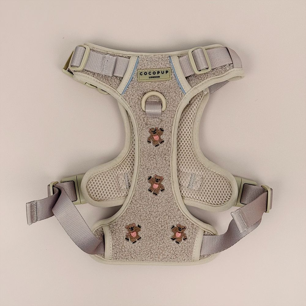 Explore Harness - Theo Embroidered Teddy