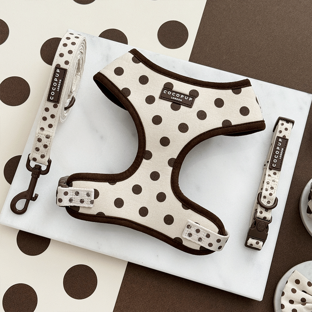 Dog harness and leash set with polka dot pattern on a marble surface