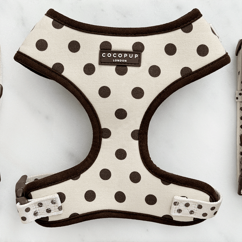 Dog harness with polka dot pattern and 'Cocopup London' branding on a white background