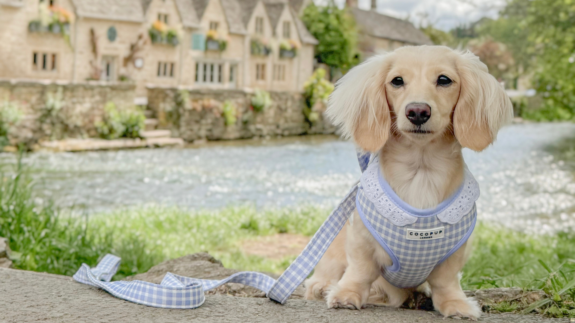 Style for Every Walk