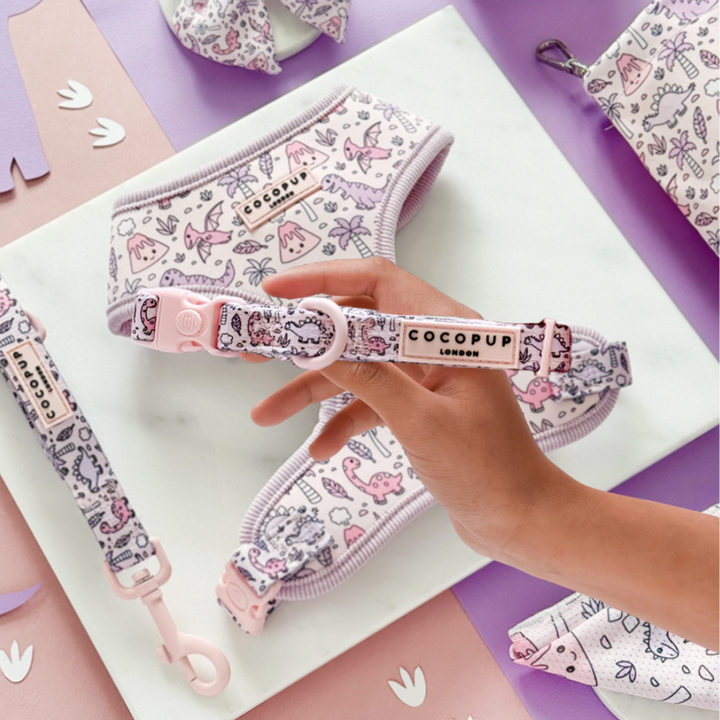 Princess Dino COLLAR