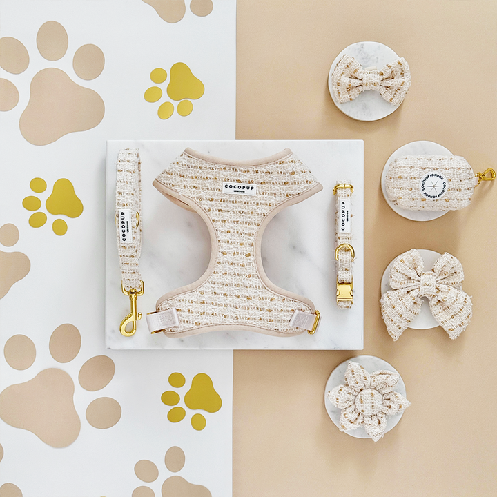 Vanilla Textured Tweed Adjustable Neck Harness, Lead & Collar Bundle