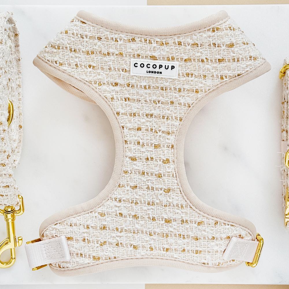 Vanilla Textured Tweed Adjustable Neck Harness, Lead & Collar Bundle