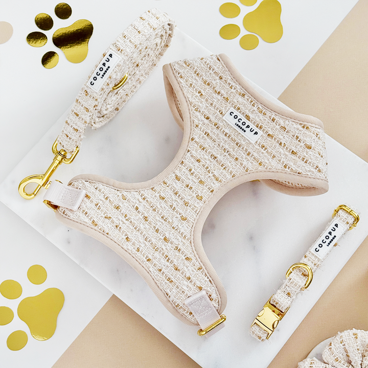 Vanilla Textured Tweed Adjustable Neck Harness, Lead & Collar Bundle