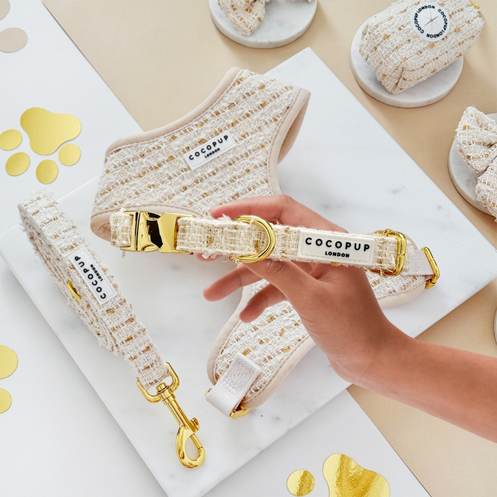 Vanilla Textured Tweed Adjustable Neck Harness, Lead & Collar Bundle