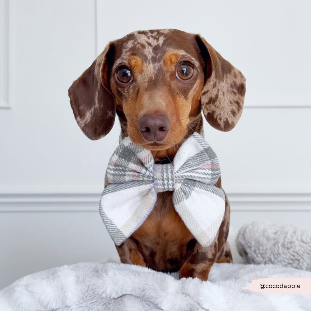 Oxford Plaid Sailor Bow Tie