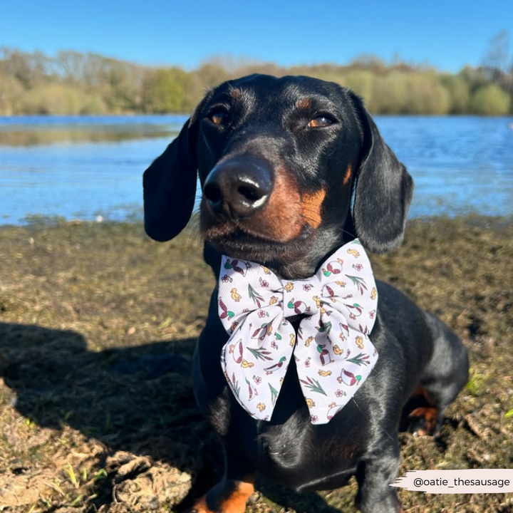 Puddle Pup Sailor Bow Tie
