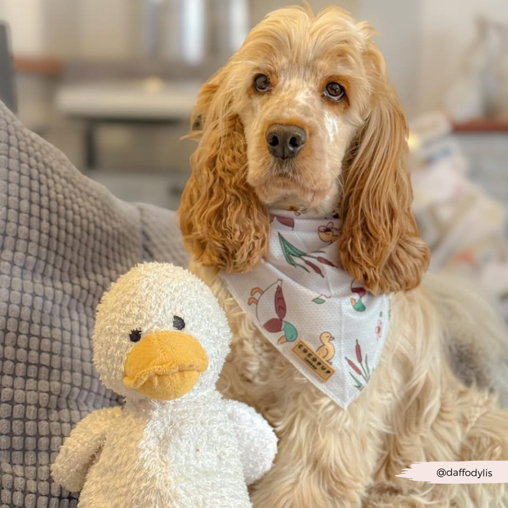 Puddle Pup Bandana