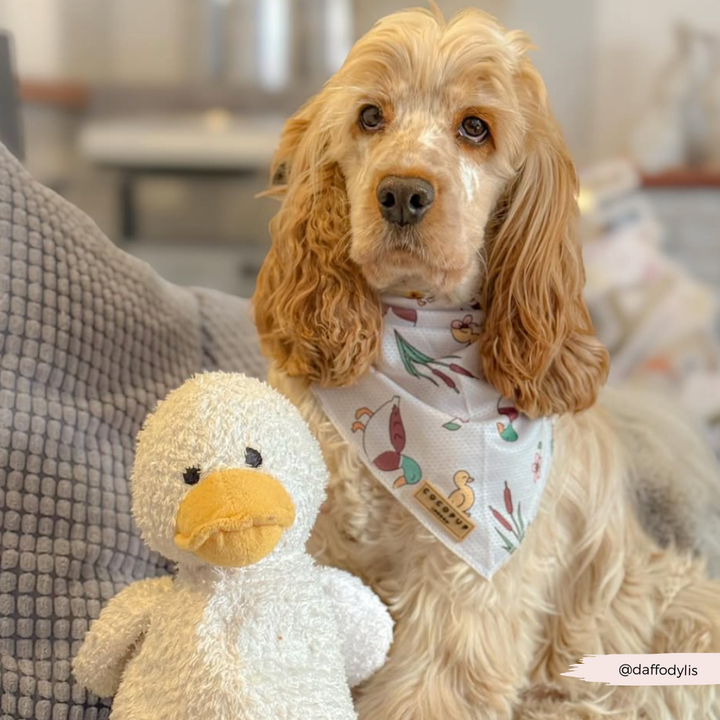 Puddle Pup Bandana