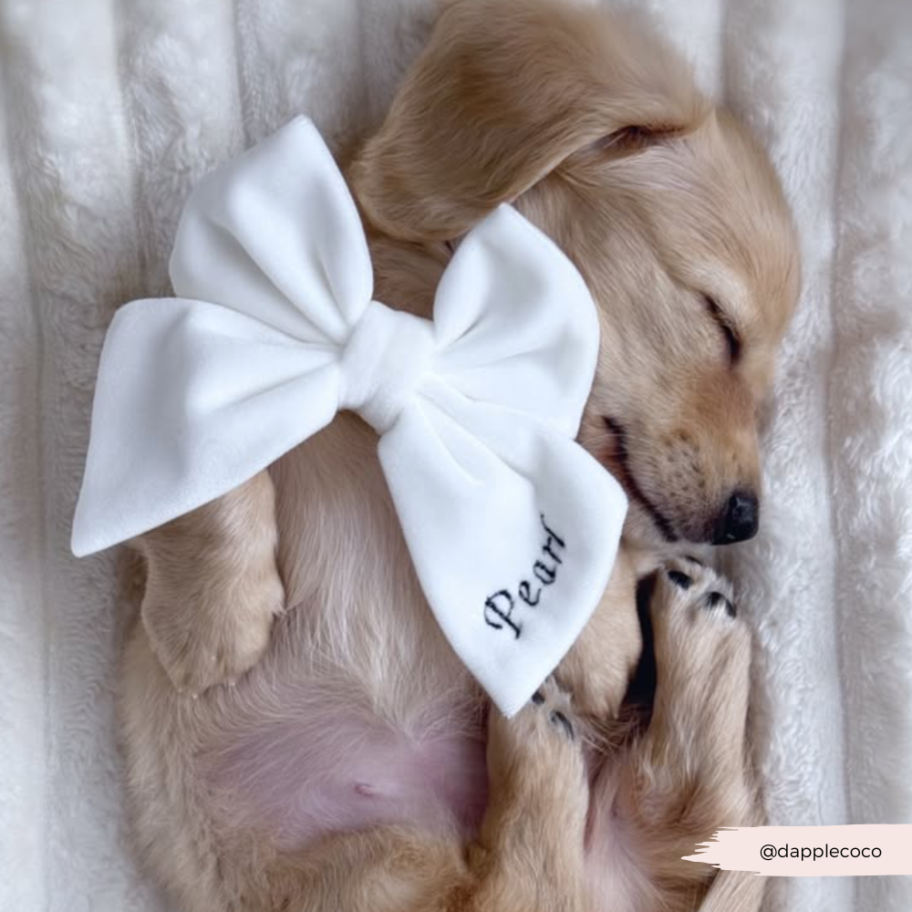 PERSONALISED Velvet Sailor Bow Tie - White