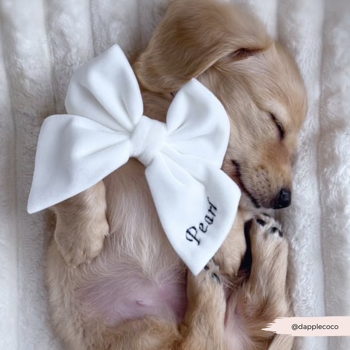 PERSONALISED Velvet Sailor Bow Tie - White