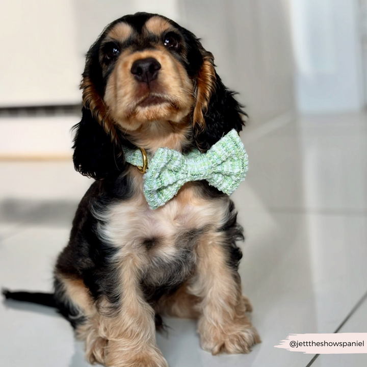 Matcha Textured Tweed Bow Tie