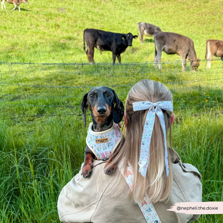 Farmyard Friends Ribbon Bow Clip - By Coconut Lane