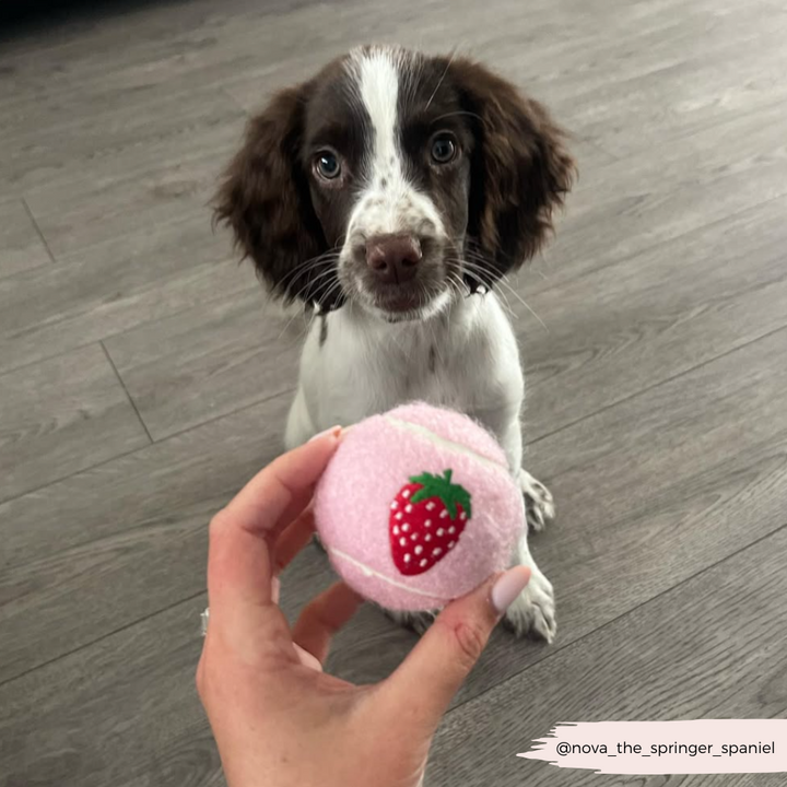 Embroidered Tennis Ball BUNDLE - Harold, Strawberry and Lemon
