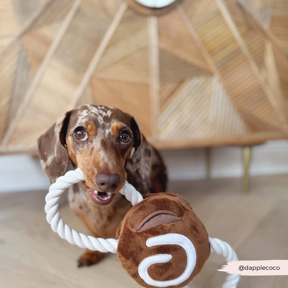Cinnamon Bun Dog Toy