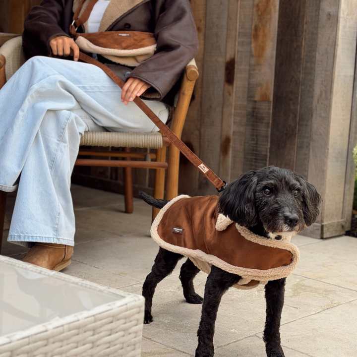 A black dog wearing a brown and beige sherpa-lined dog coat stands on a patio next to a person sitting in a wooden chair, holding the dog's leash.