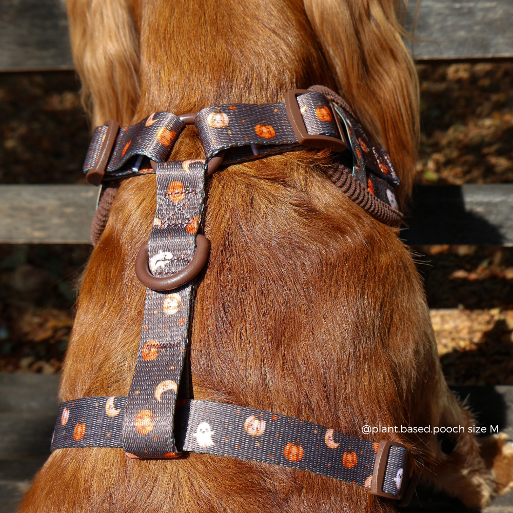 A close-up of a dog's back wearing a Halloween-themed harness with a dark BROWN base and orange pumpkin, ghost, and moon patterns.