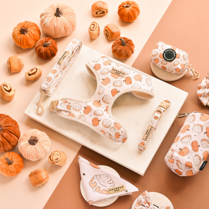 A flat lay photo showcases an aesthetic autumn-themed collection of dog accessories. The items include a harness, leash, collar, poop bag holder, and a Cocopup London Bandana - Cinnamon Buns, all with matching pumpkin and leaf designs. Decorative pumpkins and small pastries surround the accessories.