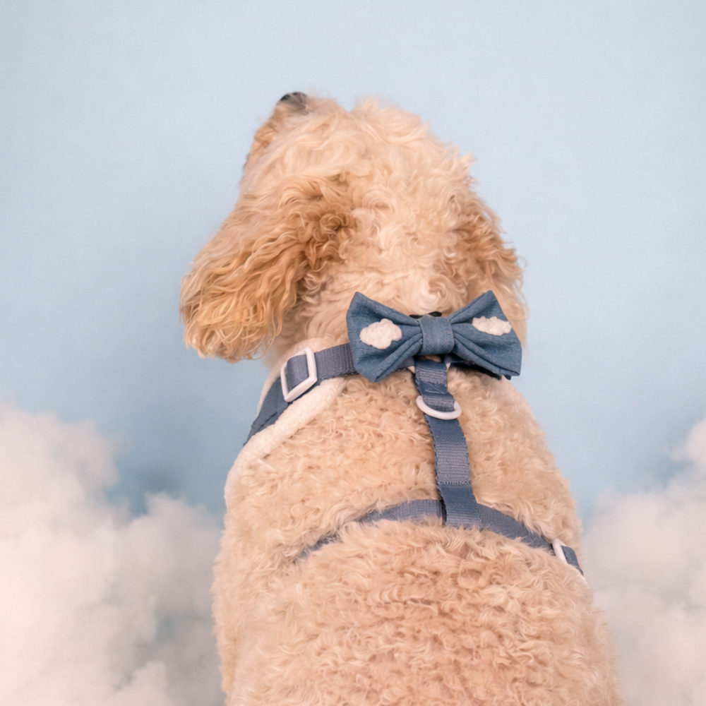 Cloud Nine Bow Tie