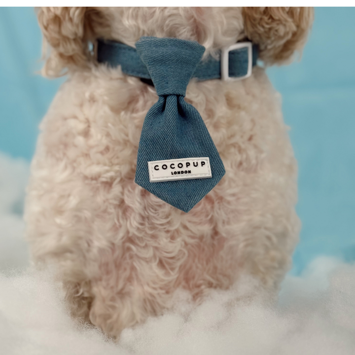 Cloud Nine Dog Tie