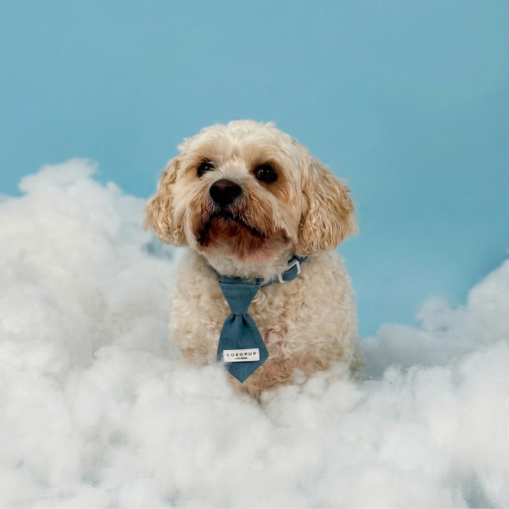 Cloud Nine Dog Tie