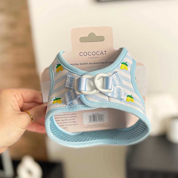 Hand holding a blue striped cat harness with yellow lemon designs from Cocopup London.