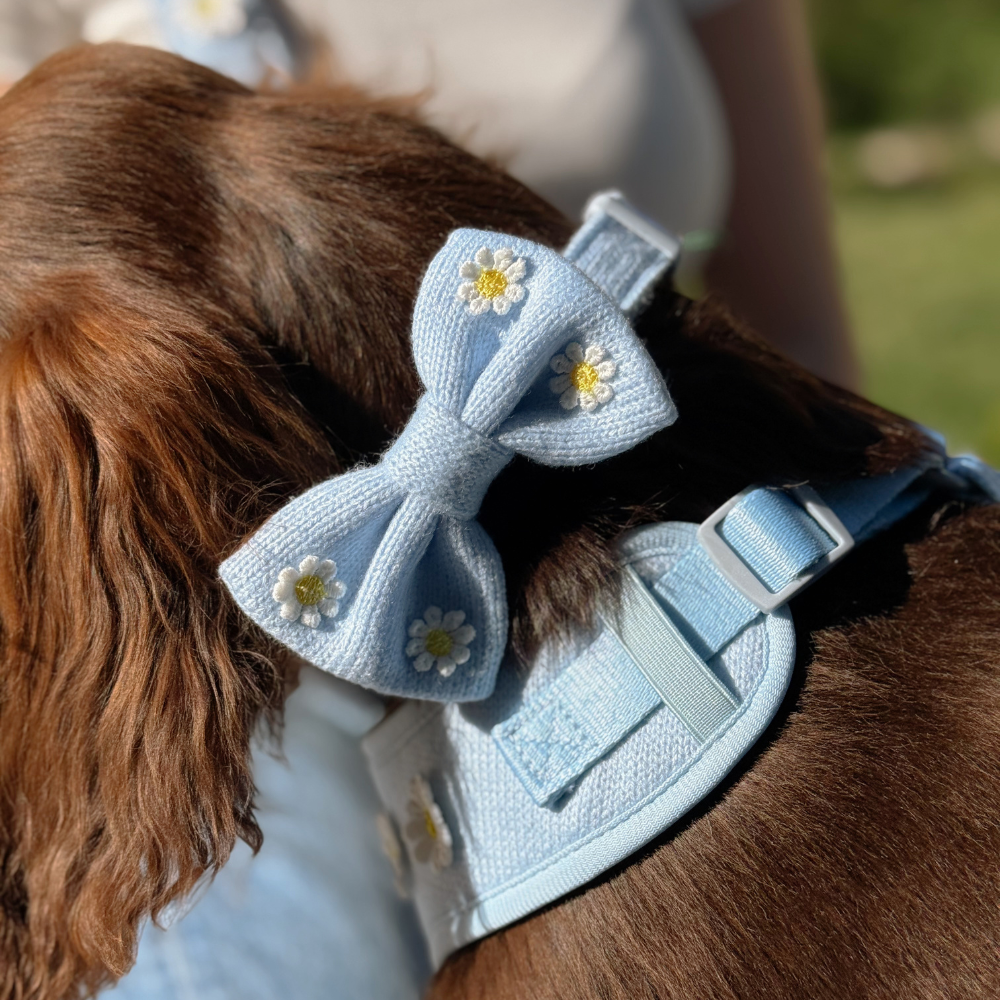 Blue Daisy Dream Bow Tie
