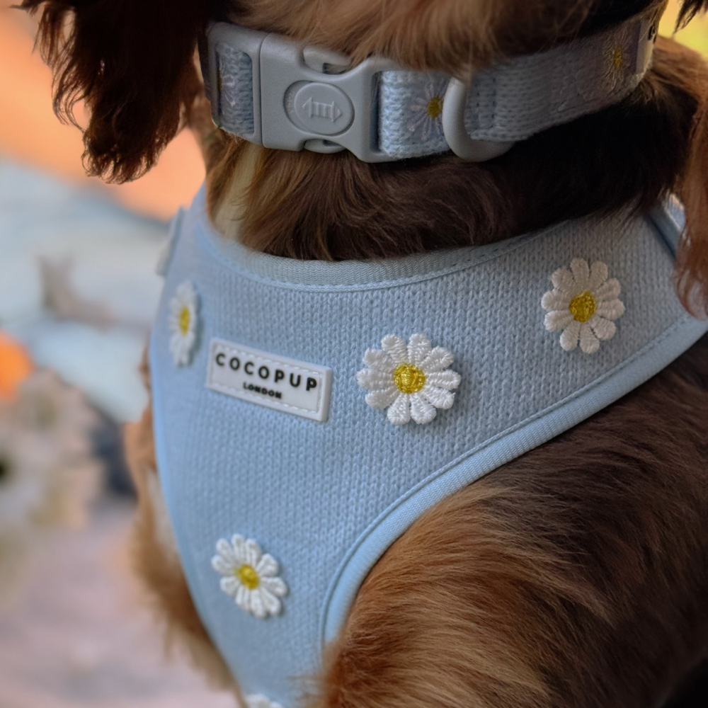 Blue Daisy Dream Adjustable Neck HARNESS