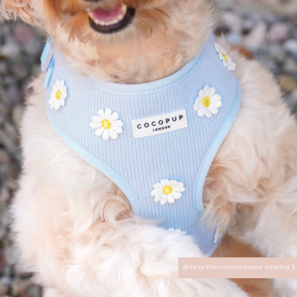 Blue Daisy Dream Adjustable Neck HARNESS