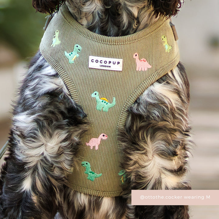 Dino Doodles Adjustable Neck Harness, Lead & Collar Bundle