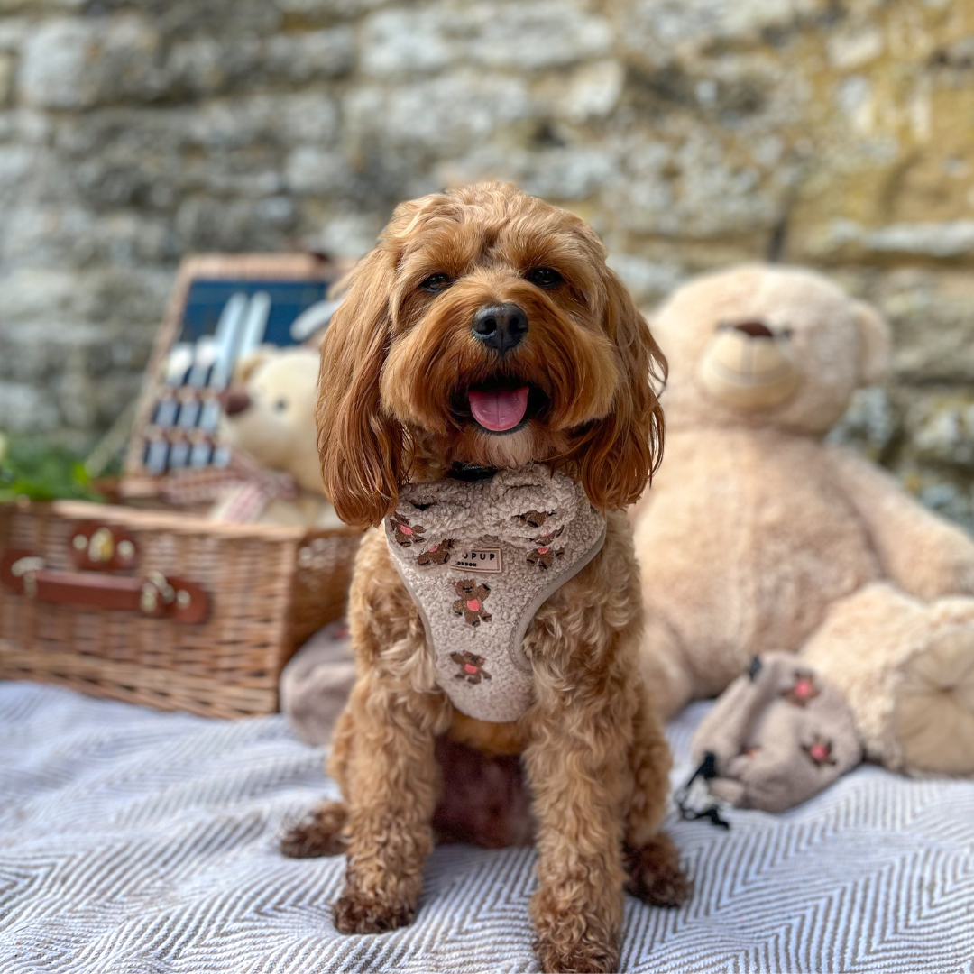 Theo Embroidered Teddy Bow Tie