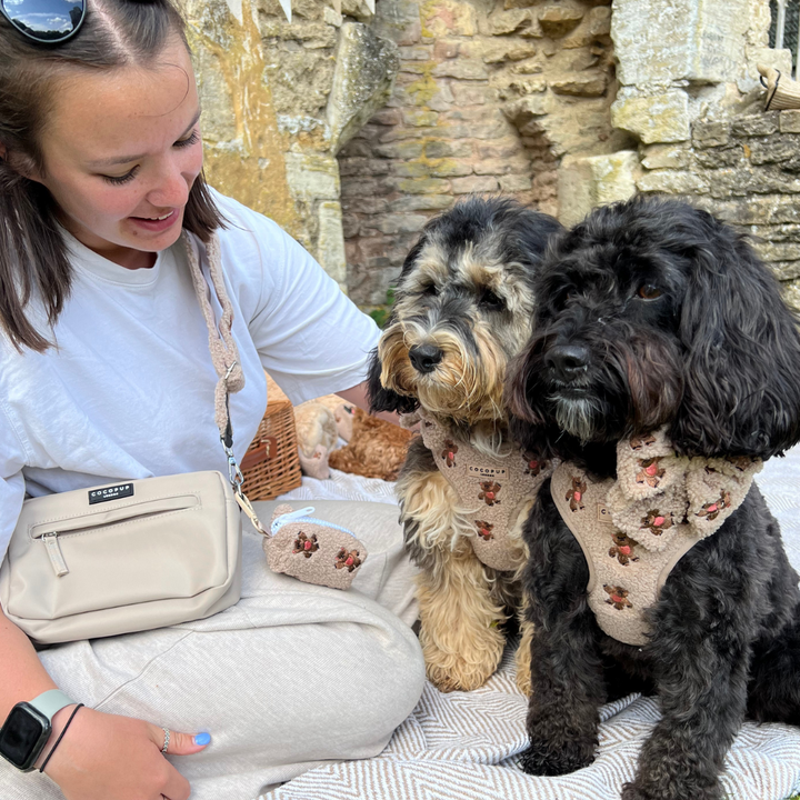 A woman wearing a white shirt sits outdoors on a picnic blanket beside two fluffy dogs dressed in matching teddy bear harnesses. The background features rustic stone walls. A beige crossbody bag with the stylish Theo Embroidered Teddy bag strap from Cocopup London and a small pouch with a paw print are visible.