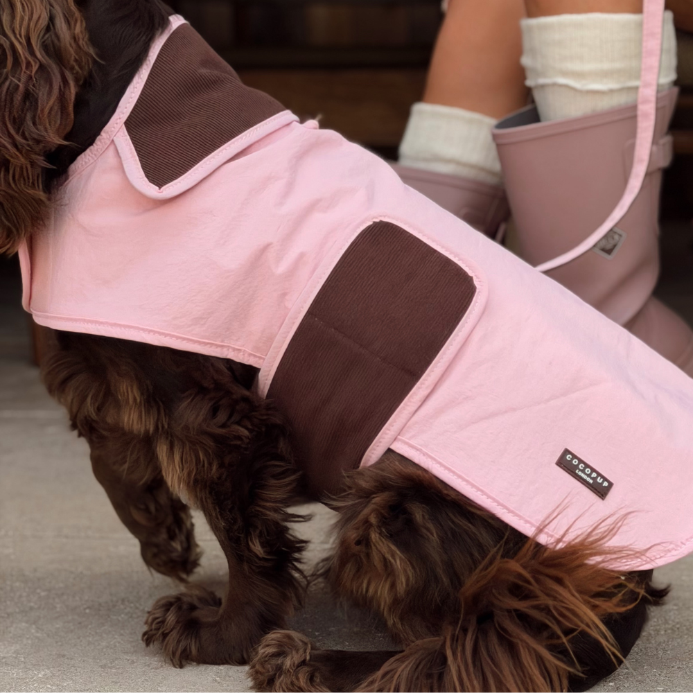 A brown dog wearing a pink and brown waterproof dog coat, with a person's legs in boots visible in the background.