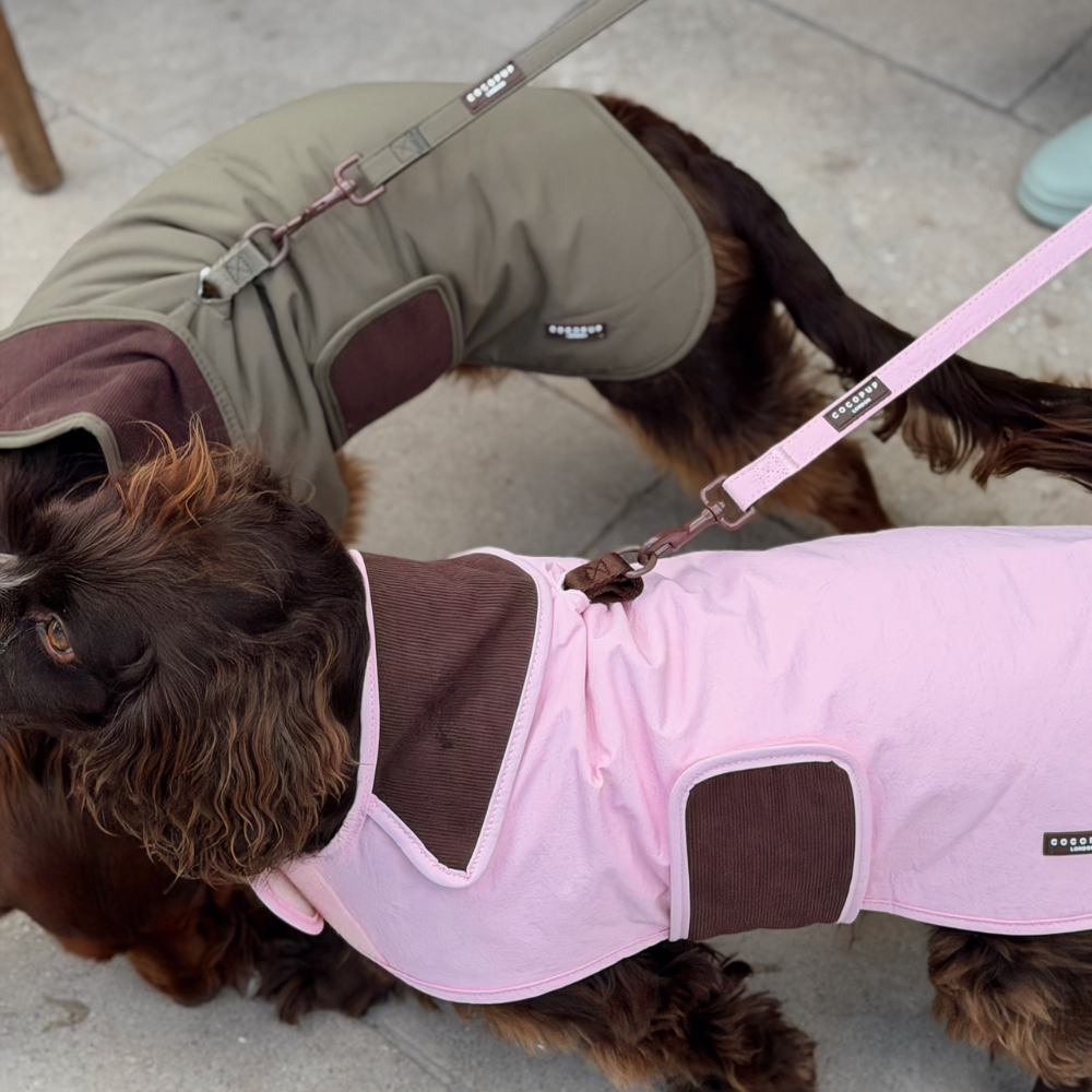 Two dogs wearing dog jackets on a paved outdoor surface. The foreground dog wears a light pink dog jacket with dark brown panels, and the background dog wears an olive green dog jacket with dark brown panels.