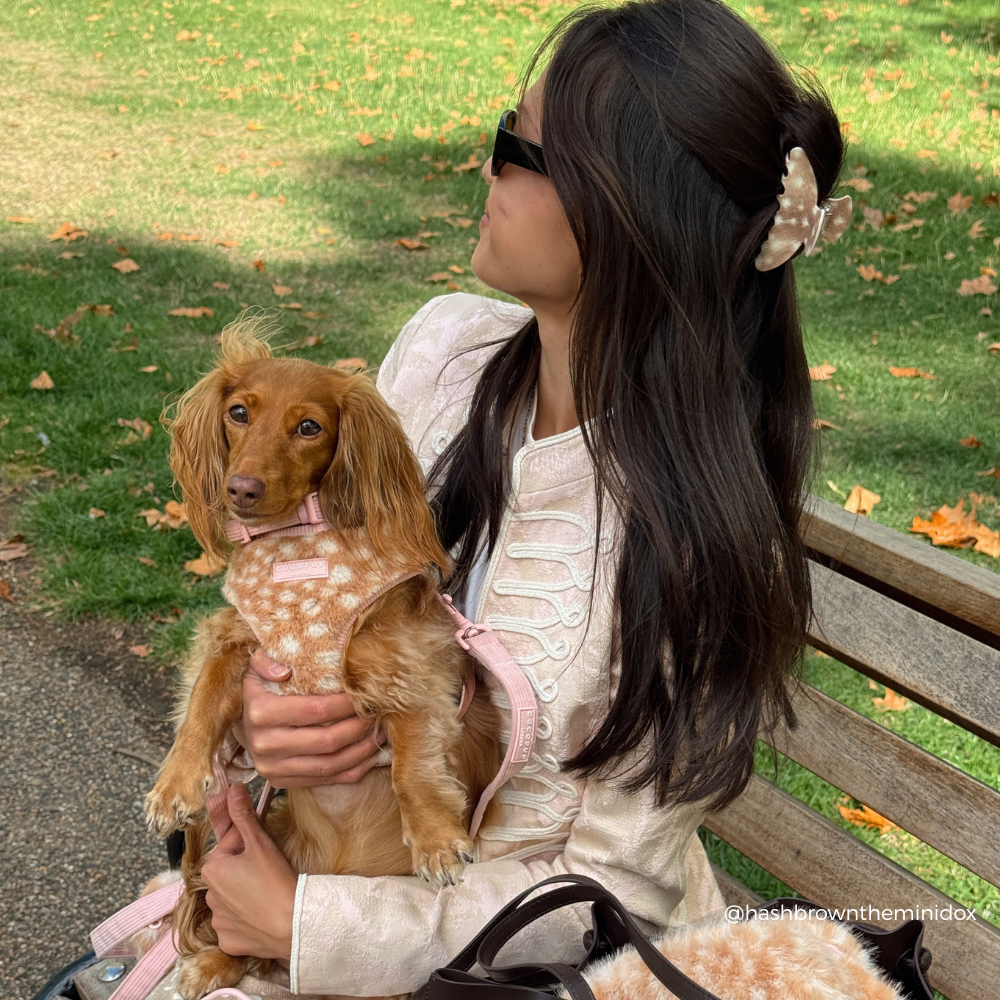 A woman sitting on a park bench holding a small brown dachshund. The woman wears a cream-colored textured jacket and black sunglasses, and the dog wears a pink harness with a cream-and-brown spotted pet sweater.
