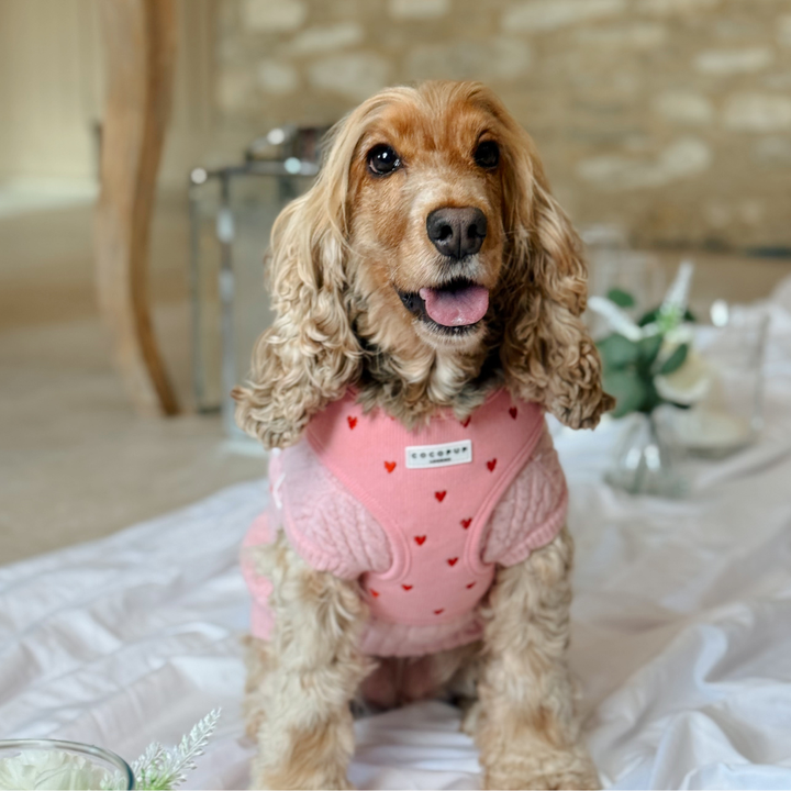 Pink Heartstrings Cord Adjustable Neck Harness, Lead & Collar Bundle