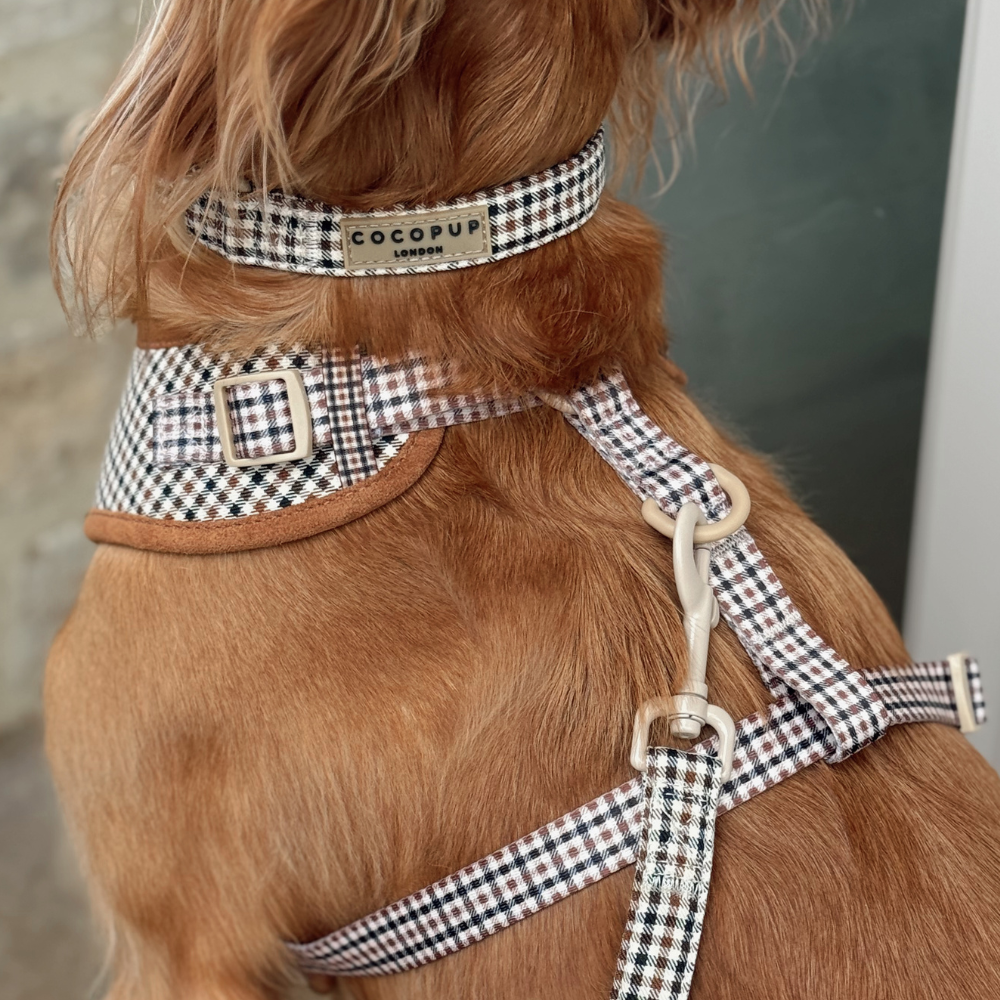 Heritage Check COLLAR