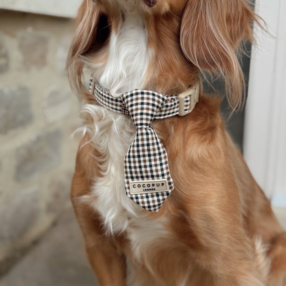 Heritage Check Dog Tie