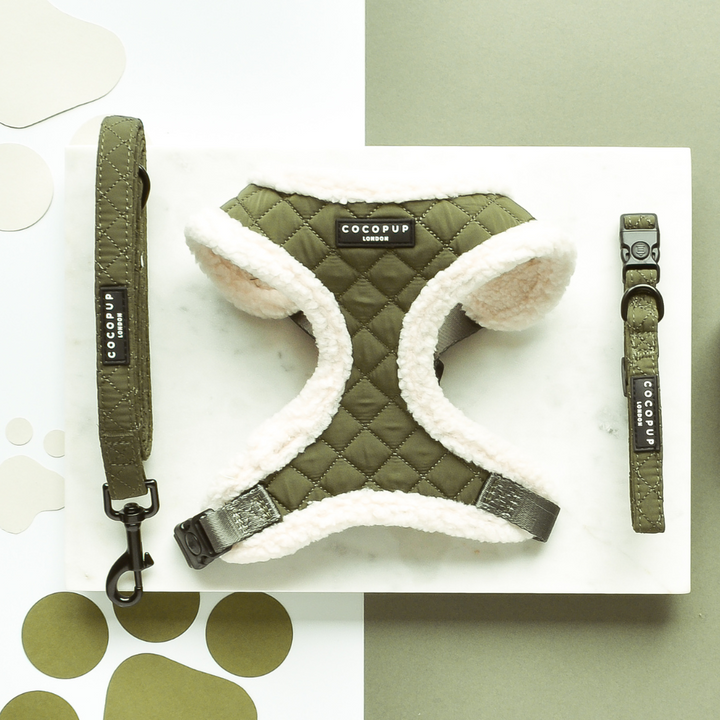 Khaki Quilted Adjustable Neck Harness, Lead & Collar Bundle