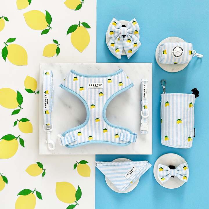 Living La Vida Lemon Lead