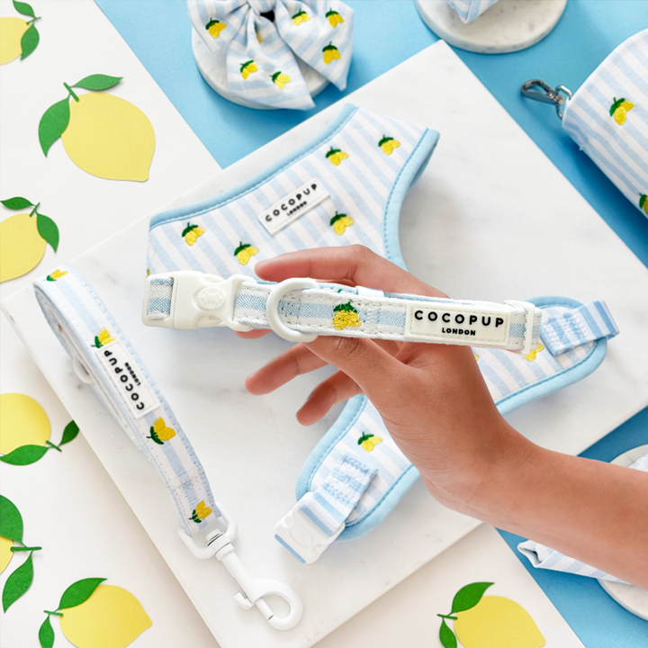 Living La Vida Lemon COLLAR