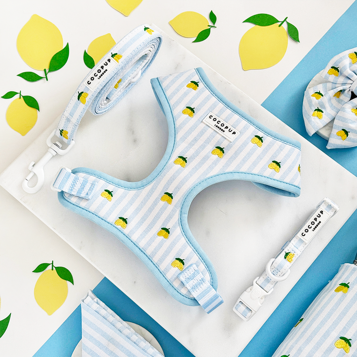 Living La Vida Lemon Adjustable Neck HARNESS