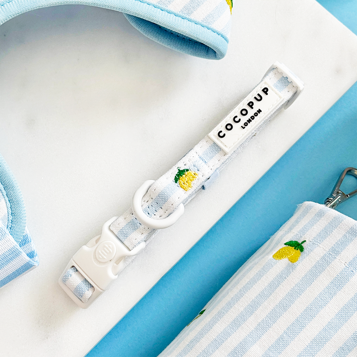 Living La Vida Lemon COLLAR