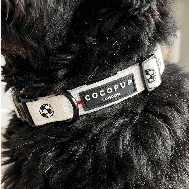 Match Day Pup COLLAR