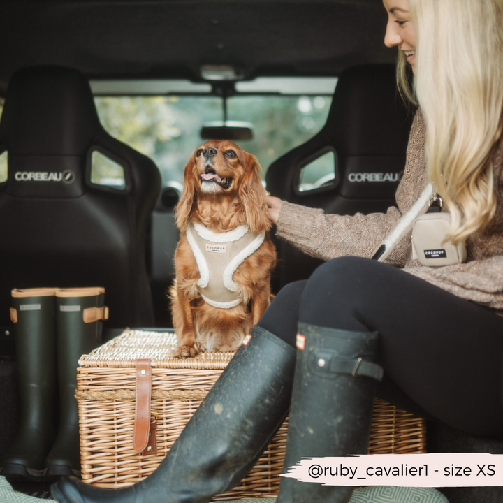 A woman with long blonde hair is smiling while sitting in the back of an open vehicle. She is wearing black boots and a brown sweater. Next to her is a brown dog in a white harness, sitting on top of a wicker basket with the Cocopup London Bag Strap - Nude Aviator. The vehicle has Corbeau seats.