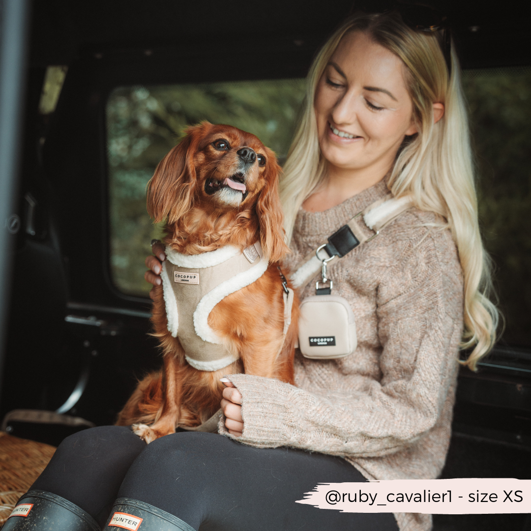 Dog Walking Caramel Latte Bag Bundle - Nude Aviator